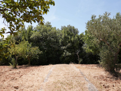Complesso di Trulli sito in Strada Staffone 220 - Martina Franca (TA)