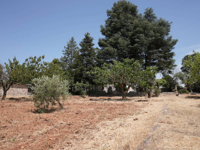 Complesso di Trulli sito in Strada Staffone 220 - Martina Franca (TA)