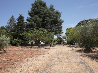 Complesso di Trulli sito in Strada Staffone 220 - Martina Franca (TA)