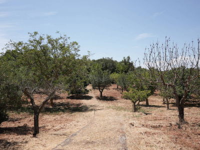 Complesso di Trulli sito in Strada Staffone 220 - Martina Franca (TA)