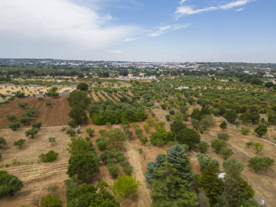 Complesso di Trulli sito in Strada Staffone 220 - Martina Franca (TA)