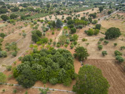 Complesso di Trulli sito in Strada Staffone 220 - Martina Franca (TA)