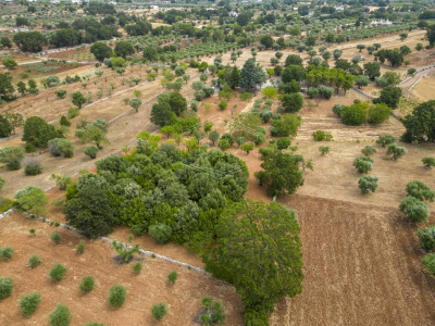 Complesso di Trulli sito in Strada Staffone 220 - Martina Franca (TA)