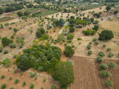 Complesso di Trulli sito in Strada Staffone 220 - Martina Franca (TA)