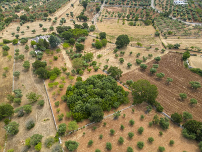 Complesso di Trulli sito in Strada Staffone 220 - Martina Franca (TA)