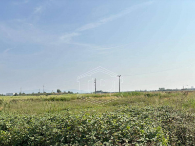 Terreno Edificabile in via Aurelia Sud SP, 39 – San Vincenzo (LI)