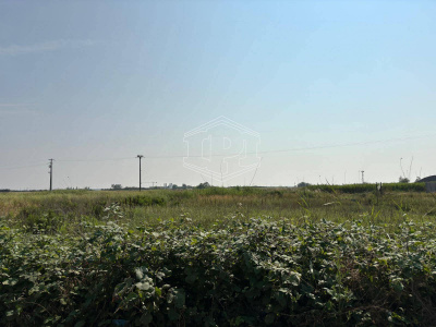 Terreno Edificabile in via Aurelia Sud SP, 39 – San Vincenzo (LI)