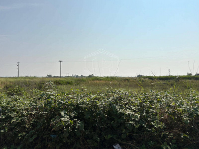 Terreno Edificabile in via Aurelia Sud SP, 39 – San Vincenzo (LI)