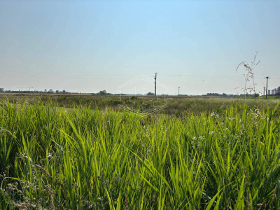 Terreno Edificabile in via Aurelia Sud SP, 39 – San Vincenzo (LI)
