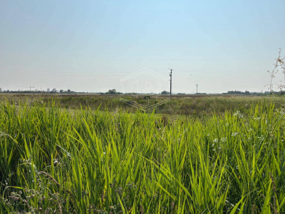 Terreno Edificabile in via Aurelia Sud SP, 39 – San Vincenzo (LI)