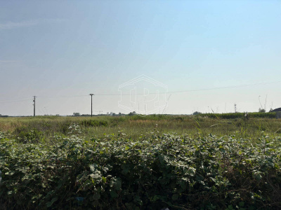 Terreno Edificabile in via Aurelia Sud SP, 39 – San Vincenzo (LI)