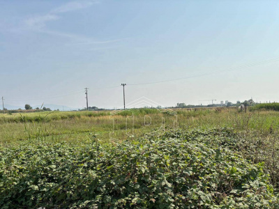 Terreno Edificabile in via Aurelia Sud SP, 39 – San Vincenzo (LI)