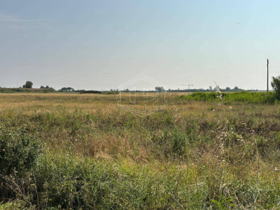 Terreno Edificabile in via Aurelia Sud SP, 39 – San Vincenzo (LI)