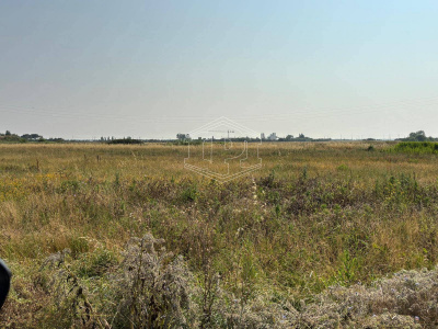 Terreno Edificabile in via Aurelia Sud SP, 39 – San Vincenzo (LI)