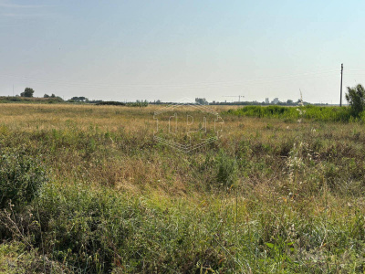 Terreno Edificabile in via Aurelia Sud SP, 39 – San Vincenzo (LI)