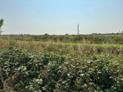 Terreno Edificabile in via Aurelia Sud SP, 39 – San Vincenzo (LI)
