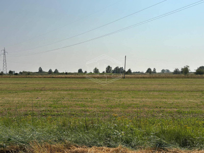 Terreno Edificabile in via Aurelia Sud SP, 39 – San Vincenzo (LI)
