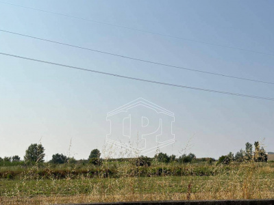 Terreno Edificabile in via Aurelia Sud SP, 39 – San Vincenzo (LI)