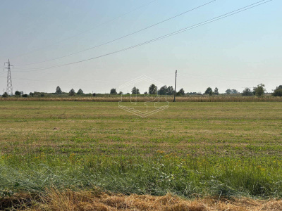 Terreno Edificabile in via Aurelia Sud SP, 39 – San Vincenzo (LI)