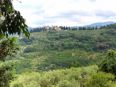 Terreno Agricolo - Bagno a Ripoli (FI)