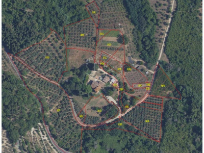 Terreno Agricolo - Bagno a Ripoli (FI)