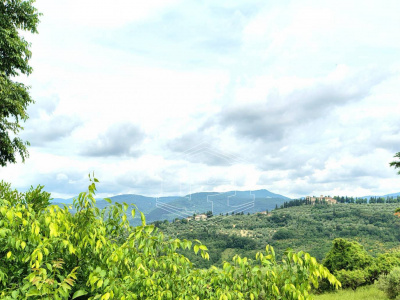 Terreno Agricolo - Bagno a Ripoli (FI)