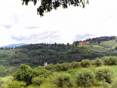 Terreno Agricolo - Bagno a Ripoli (FI)