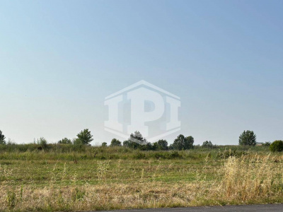 Immobile 8137-3664