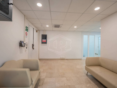 Ufficio in Via Verdi - Firenze (FI)