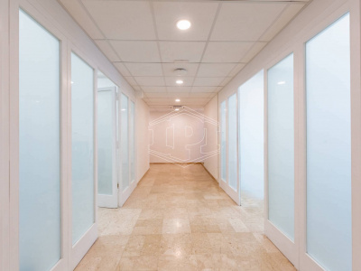 Ufficio in Via Verdi - Firenze (FI)