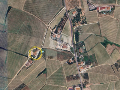 Villa in Vendita - Borgo Cerreto (FI)