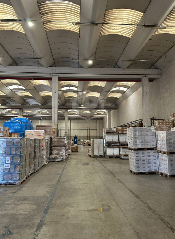Capannone industriale logistico - Carpiano (MI)