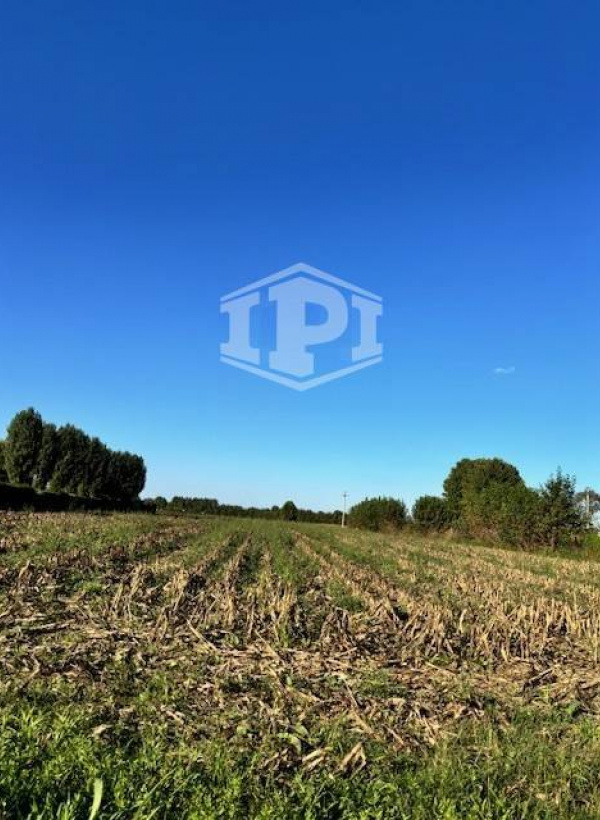 Terreno Edificabile + Agricolo Lion di Albignasego (PD)