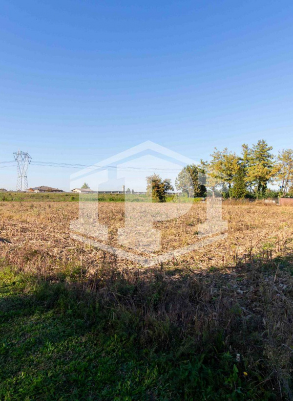 Terreno agricolo a Ponte San Nicolo'