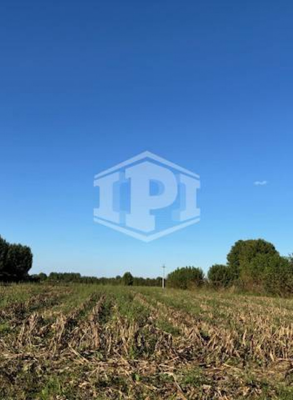 Lotto Agricolo Albignasego (PD)