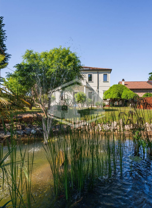 Colli Euganei -Villa Storica con B&B, dependance, rustico indipendente