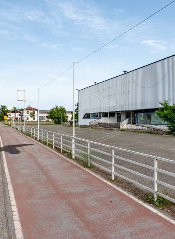 Capannone, Via Novi, Basaluzzo (AL)