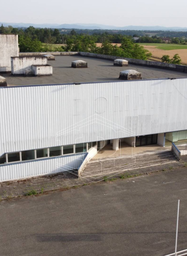 Capannone, Via Novi, Basaluzzo (AL)