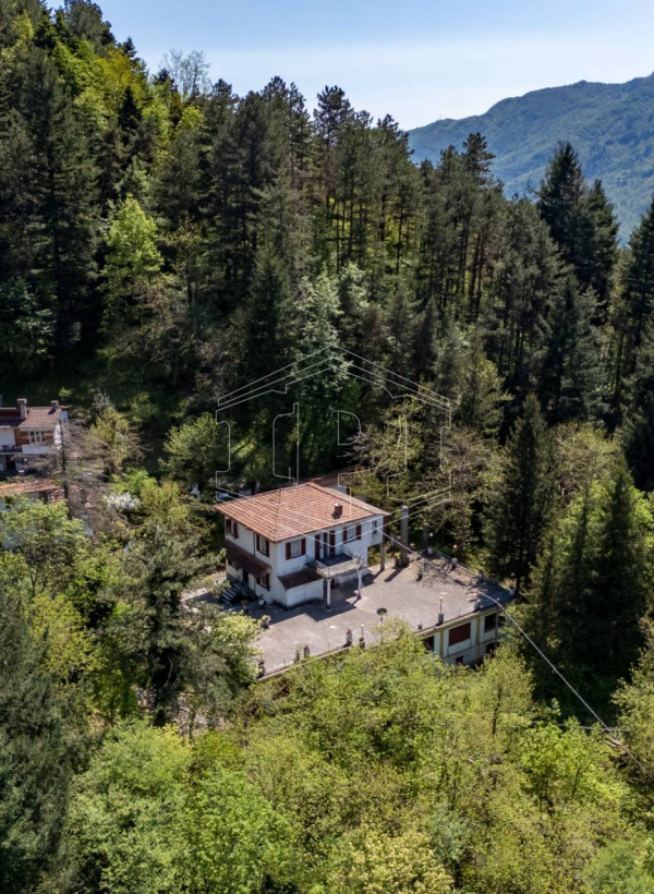 Villa, Località Temossi Bertigaro, Borzonasca (GE)