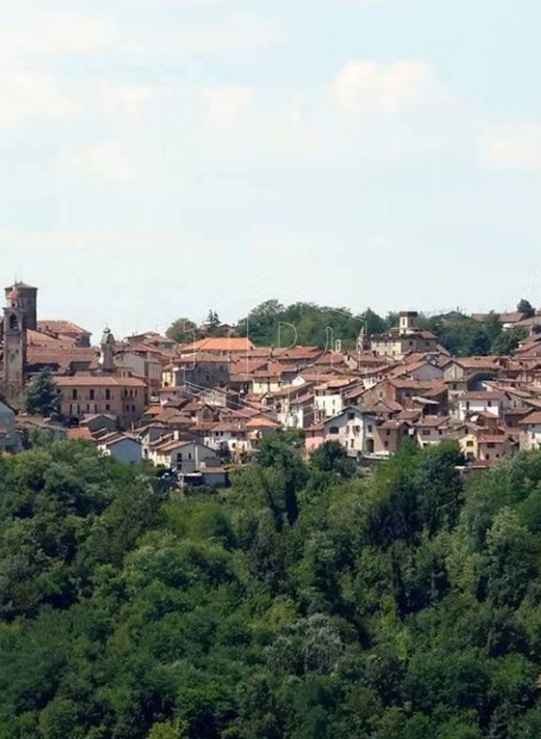 Progetto Immobiliare, Località Spongara, Rocca Grimalda (AL)