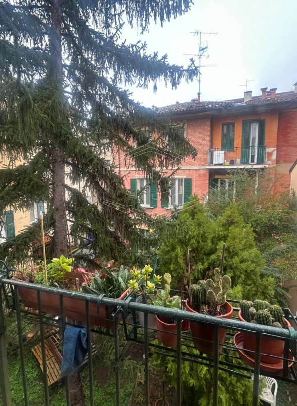 Quadrilocale in Centro, adiacenze San Felice, Bologna (BO)