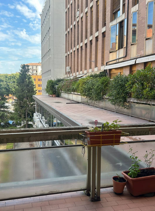 Appartamento ampie dimensioni in centro a Bologna (BO)