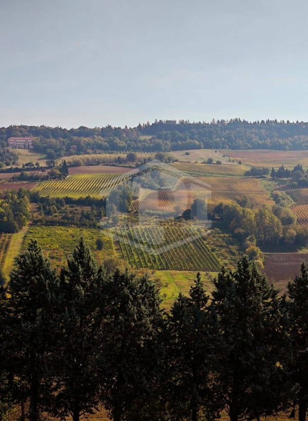 Casa indipendente cielo-terra con terreno a Dozza (BO)