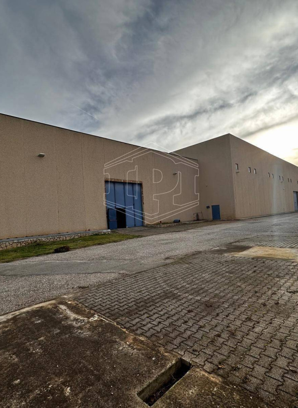 Capannone sito Via delle Ortensie, Zona Industriale Modugno - Bari (BA)