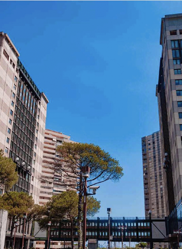 IPI Agency Centro Direzionale