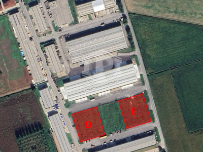 Terreno industriale, Lotto D - Vellezzo Bellini (PV)