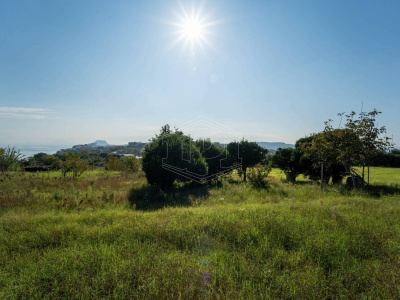 Terreno Agricolo in Via Scalandrone Snc, Pozzuoli (NA)