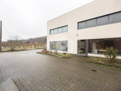 Capannone  e locale commerciale, Strada Serravalle, Novi Ligure (AL)