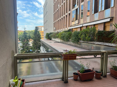 Appartamento ampie dimensioni in centro a Bologna (BO)