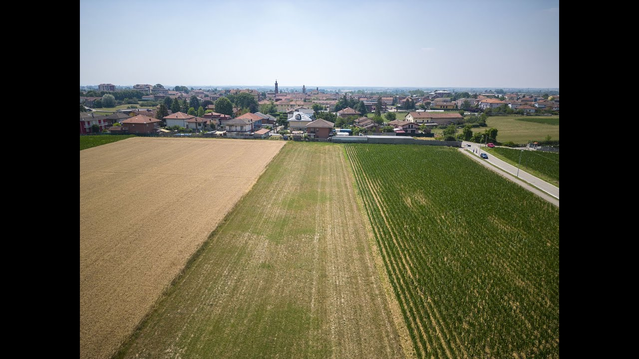 Terreno edificabile in Strada Vecchia di Brassicarda, VIllanova d'Asti (AT)